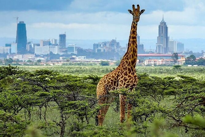 Day Tour to Nairobi National Park and Giraffe Center - Inclusions