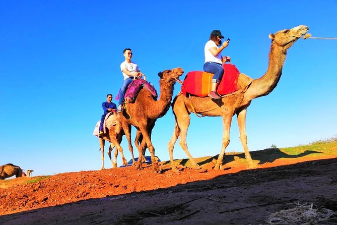 Day Trip to Atlas Mountains and 4 Valley With Camel Ride From Marrakech - Exploring Asni Valley