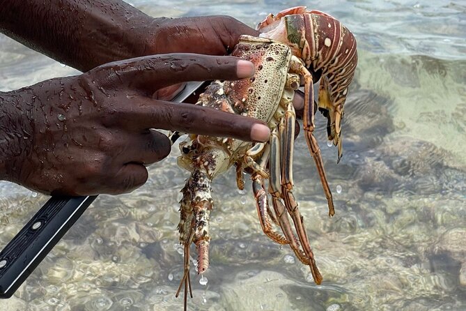 Day Trip to Negril From Montego Bay/Boat Ride to Booby Cay Island/Lobster Lunch - Tour Availability