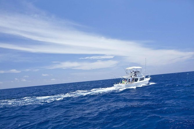 Deep Sea Sport Fishing From Montego Bay - Fishing Methods and Target Species