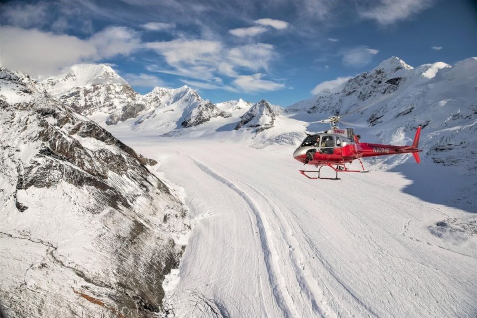 Denali National Park: Helicopter Flight With Glacier Landing - Denali National Park Highlights