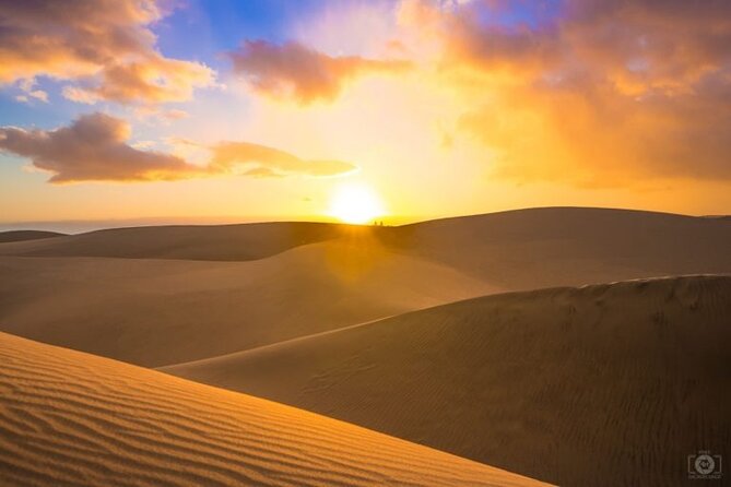 Desert Safari, Camel Ride and Inland Sea Tour - Dune Bashing Experience