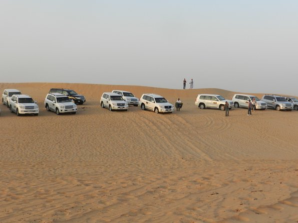 Desert Safari in a 4 X 4 With Sand Ski and Camel Ride From Dubai - Logistics