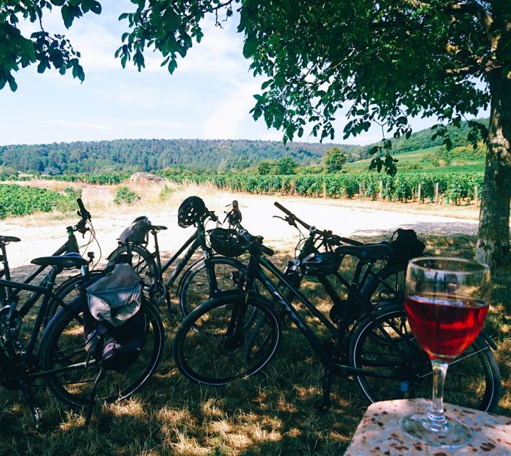 Dijon: Bike Tour and Tastings in the Vineyards of Burgundy - Tasting Burgundys Local Products