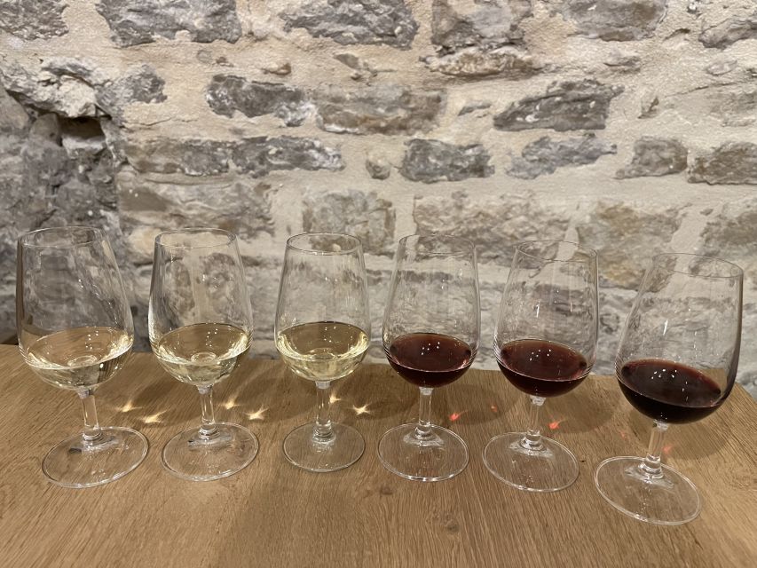 Dijon: Cheese and Burgundy Wine Tasting Workshop - Workshop Highlights