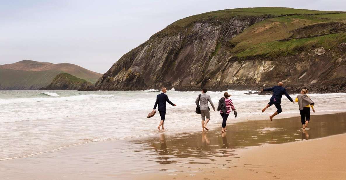 Dingle Day Tour From Limerick - Itinerary Highlights