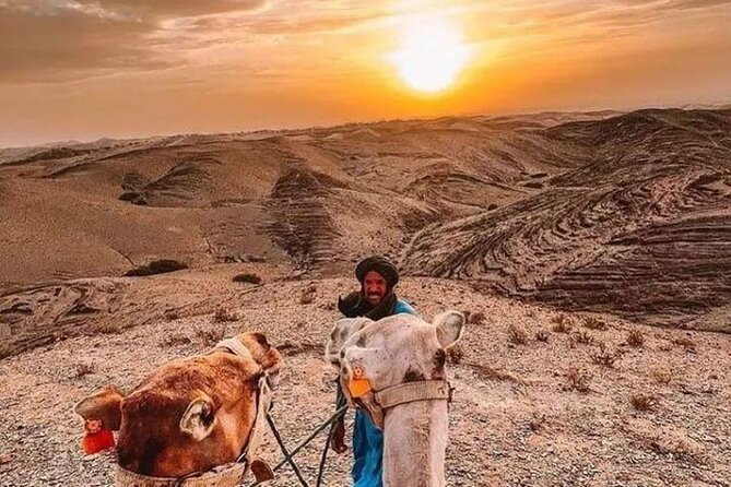 Dinner and Show With Camel Ride in Agafay Desert - Camel Ride Experience