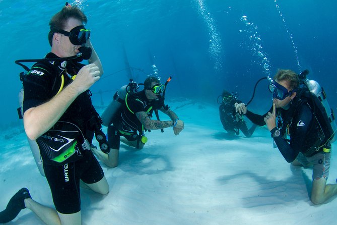 Discover Scuba Dive - Meeting Point and Pickup Details