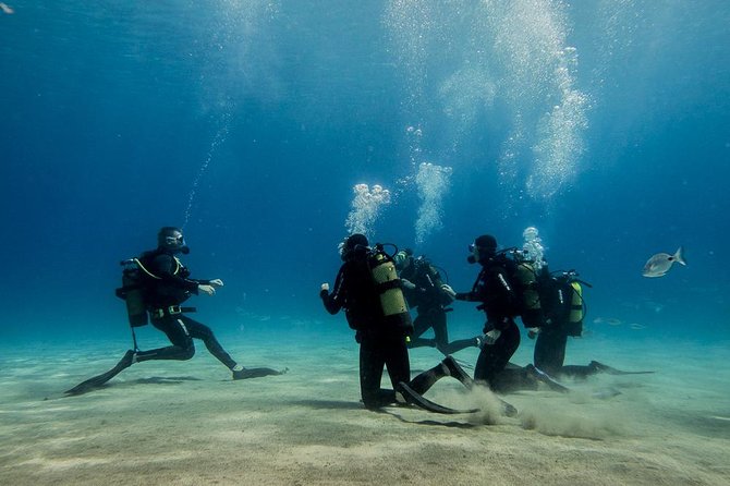 Discover Scuba Diving - Meeting and Pickup