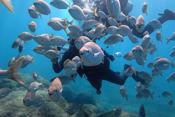 Discover Scuba Diving in Puerto De Mogan - Scuba Theory Session