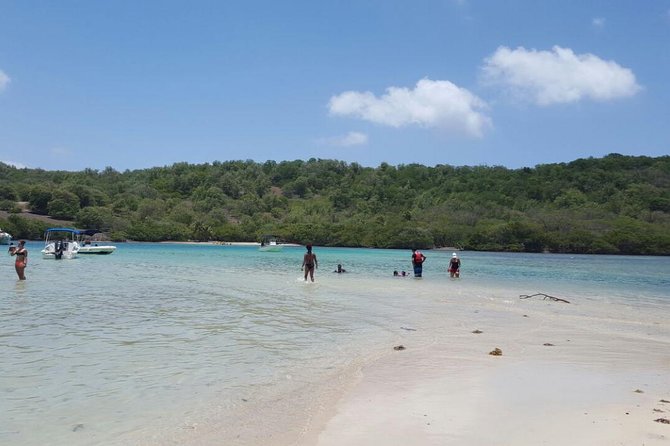 Discover the Islands in the Bay of Le Robert - Kayak Rental Half Day - Exploring Mangrove Forests