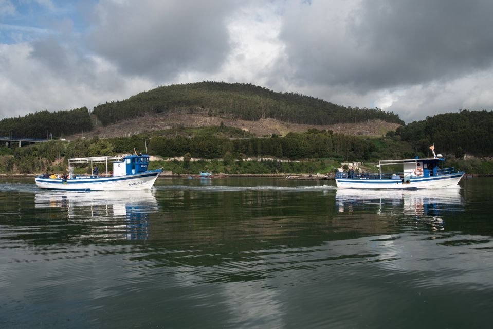 Discovering Vigo and Mussels in the Traditional Boat - Sailing in a Wooden Boat