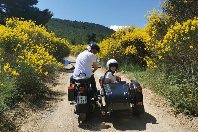 Discovery of Aix-En-Provence: 1 Hour - Tour Accessibility