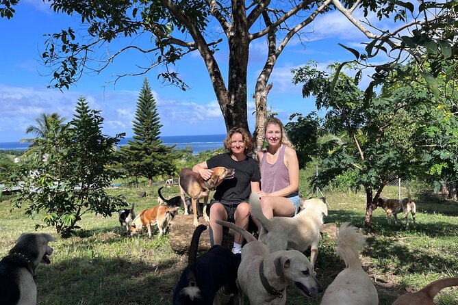 Dog Lovers Guided Tour of the Happy Tails Sanctuary - Sanctuary Details