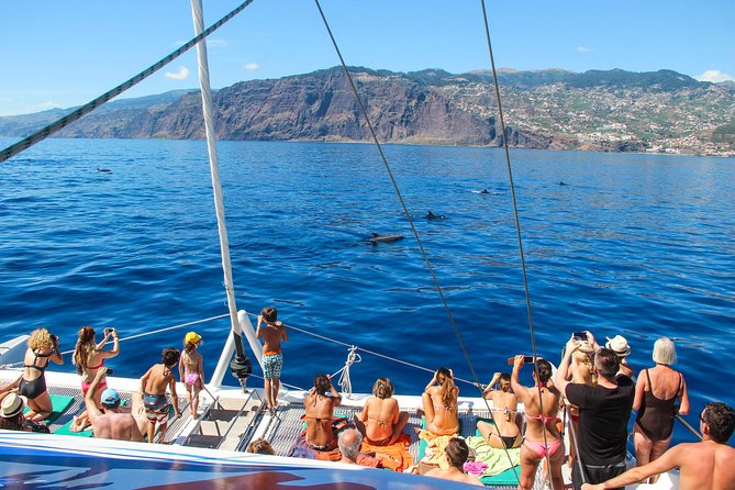 Dolphin and Whale Watching Catamaran Cruise From Funchal - Inclusions and Exclusions