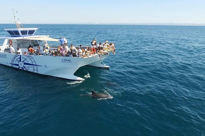 Dolphin Search - Dolphin Quest - Tour Benefits