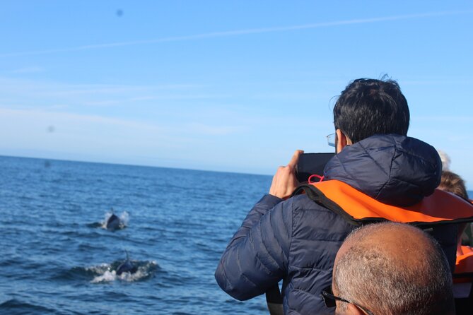 Dolphin Watching + 2 Islands Tour - From Faro - Meeting Point and Pickup