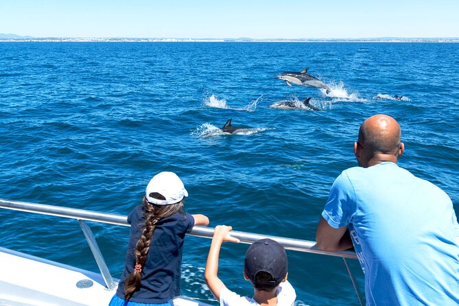 Dolphin Watching and Cave Boat Cruise From Albufeira - Discovering Dolphins