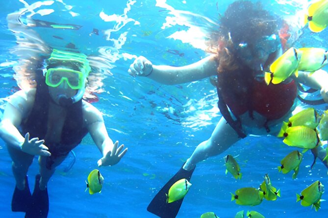 Dolphin Watching and Snorkeling Activity in Muscat - Snorkeling Adventure