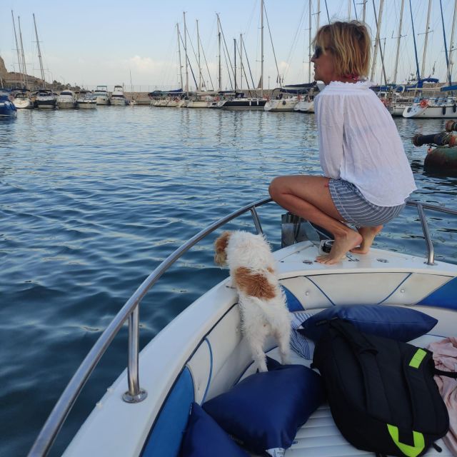 DOLPHIN WATCHING - Boat Tour Into the Open Sea