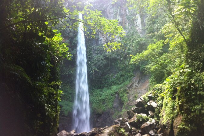 .Dominica Full Day Tour -6 Waterfalls in 1 Day and Rainforest - Customer Feedback