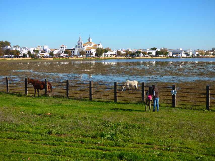 Doñana National Park Off-Road Tour From Seville - What to Expect