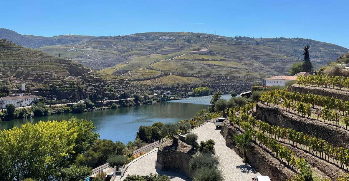 DOURO: FULL DAY DOURO VINEYARD TOUR - Scenic Highlights