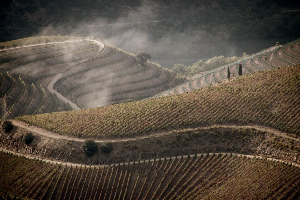 Douro Valley: 1 Day Landscape Photo Tour - Highlights of Douro Valley