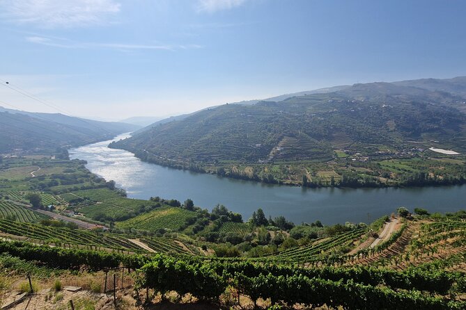 Douro Valley Tour: Wine Tasting River Cruise and Lunch From Porto - Pickup and Drop-off