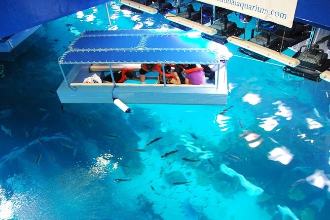 Dubai Aquarium & Underwater Zoo - Attractions and Experiences