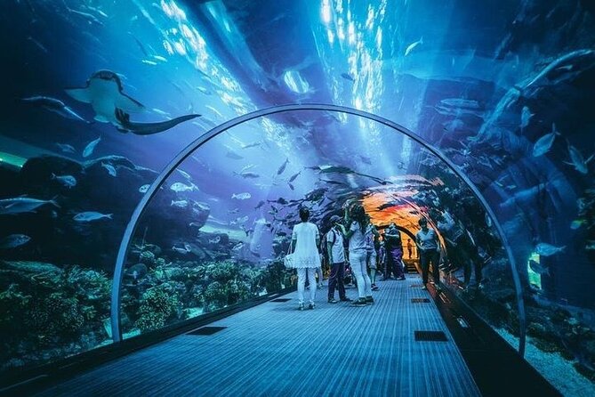 Dubai Aquarium With Optional Glass Bottom Boat Tour & Transfers - Inclusions