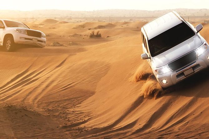 Dubai Red Dunes Safari, Camel Ride, Fire Show, BBQ Dinner - Additional Activities