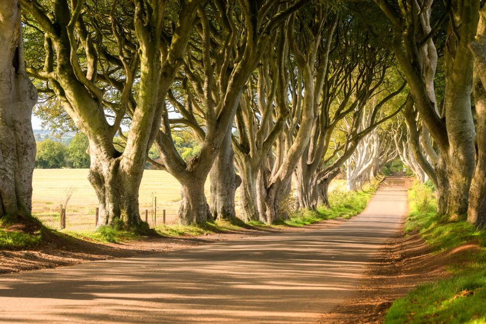 Dublin: Giants Causeway, Dark Hedges, Dunluce & Belfast Tour - Itinerary Highlights