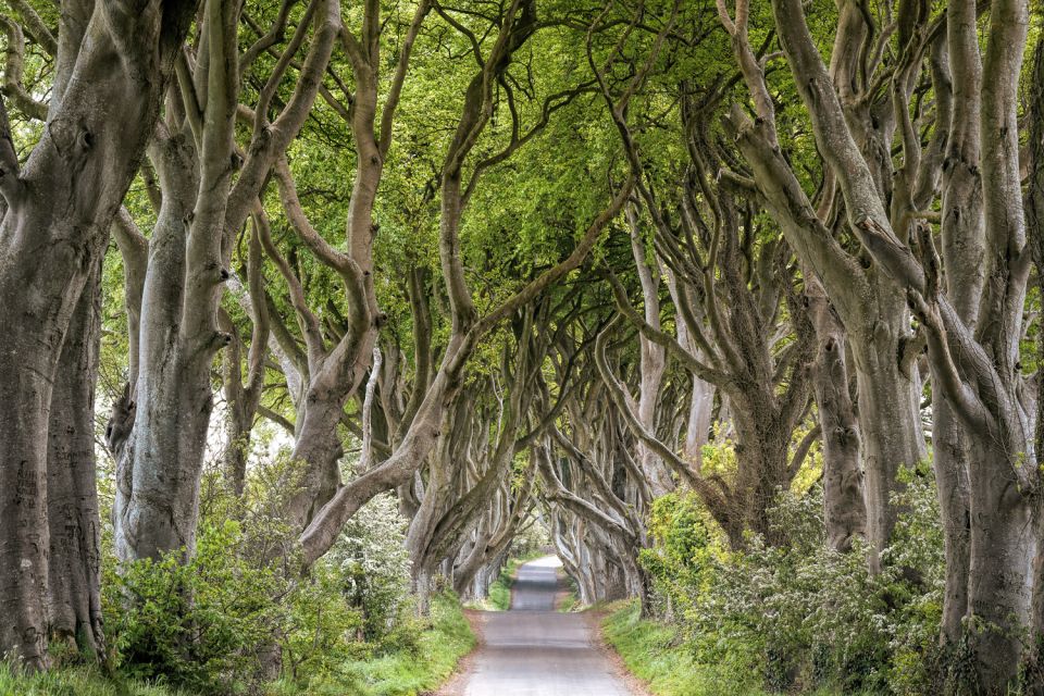 Dublin: Giants Causeway, Dark Hedges, Dunluce & Belfast Tour - Itinerary Highlights