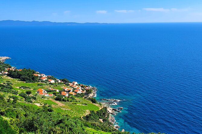 Dubrovnik Private Wine Tasting Tour To Peljesac - Wine Tasting Experience