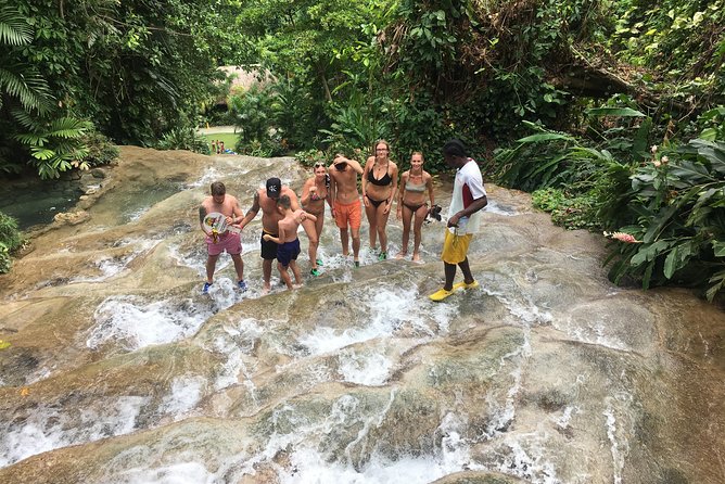 Dunn's River Falls & Horse Back Riding Transportation Only - Costs and Fees