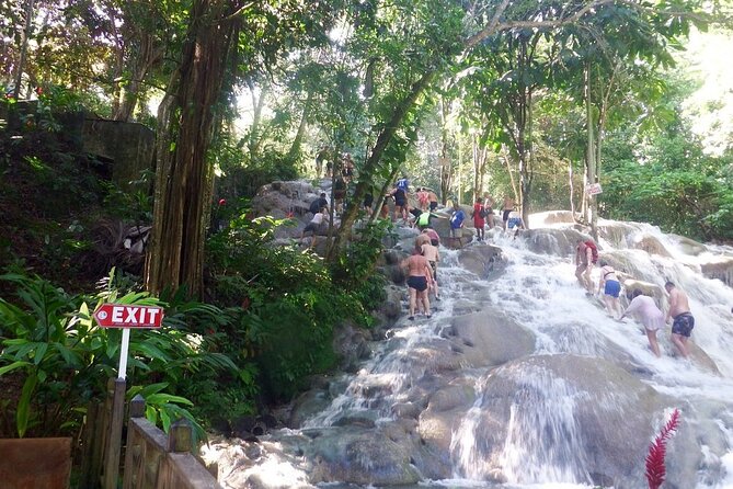 Dunns River Falls Private Day Tour - Inclusions and Fees