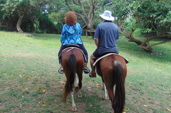 East Coast Horseback Riding & Waterfall Excursion - Local Flora and Fauna