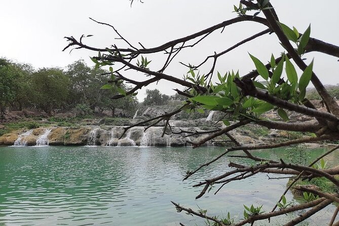 East Salalah Mountain Safari - Tour Details