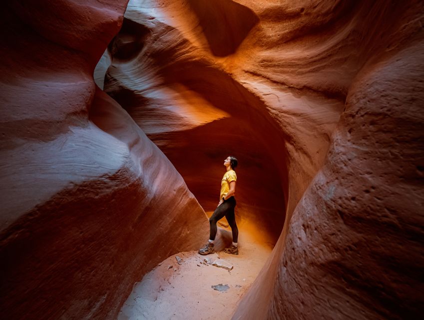 East Zion: Crimson Slot Canyon Exploration and UTV Tour - Experience Highlights