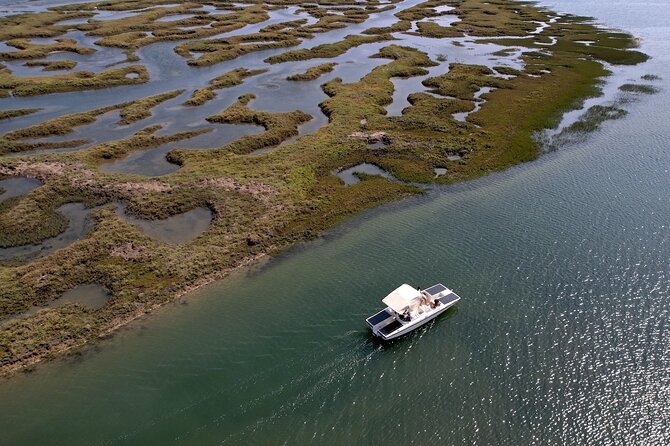 Eco Boat Tour in the Ria Formosa Lagoon From Faro - Exploring the Ria Formosa Lagoon