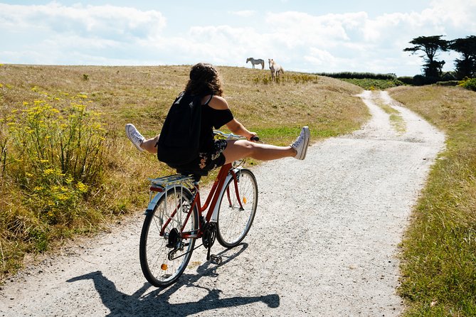 Electric Bike Excursion in Camargue - Discover Camargues Native Wildlife