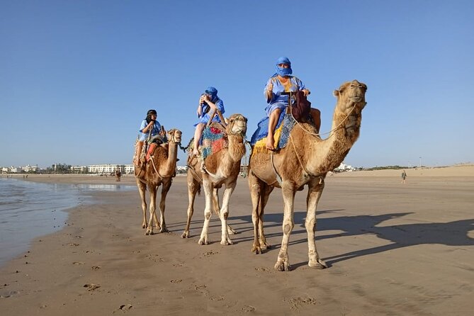 Essaouira: an Unforgettable 2 Hour Ride on a Camel - Hop on a Camel for an Adventure