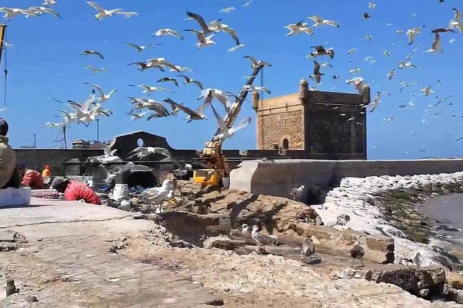 Essaouira Day Departure From Marrakech - Pickup and Dropoff