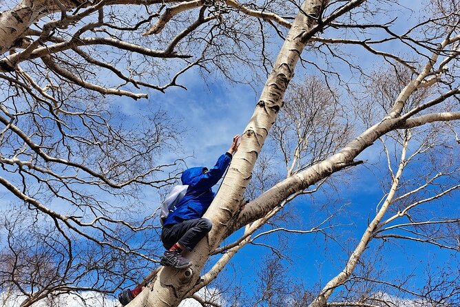 Etna Family Tour Excursion for Families With Children on Etna - Inclusions