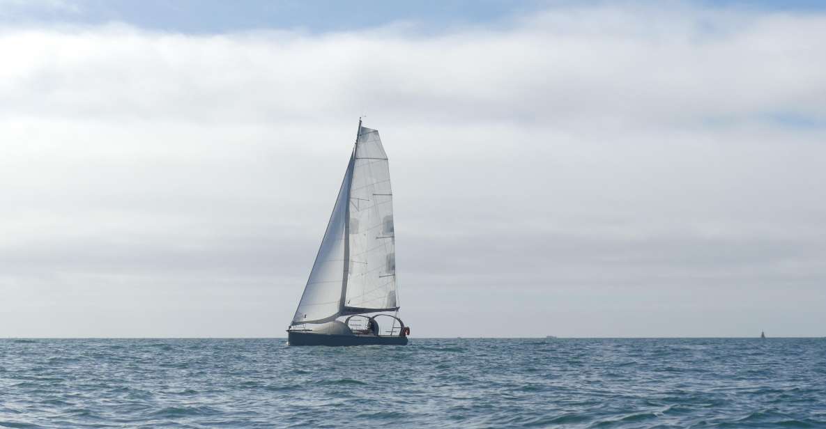 Evening Aperitif Cruise at the Entrance of the Gulf of Morbihan - Highlights