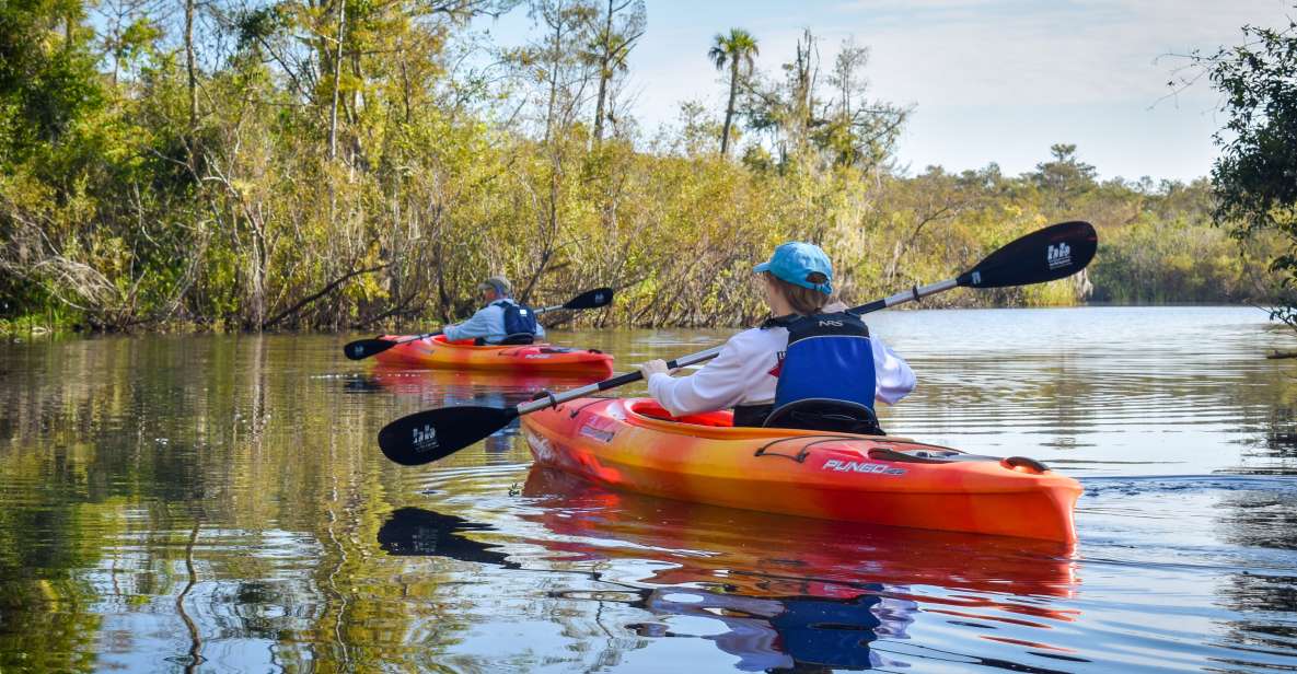 Everglades City: Guided Kayaking Tour of the Wetlands - Experience Highlights