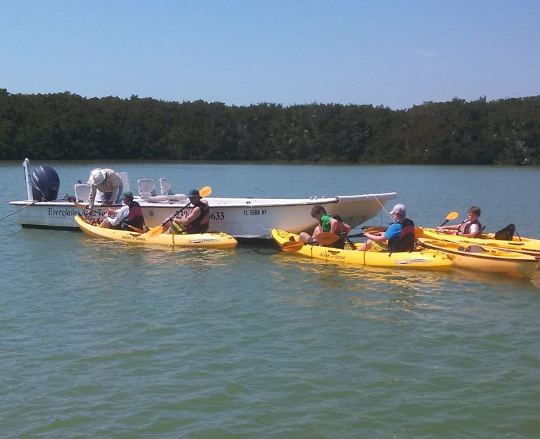 Everglades National Park: Boat Assisted Kayak Eco Tour - Activities and Experiences