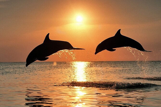 Exclusive Dolphin & Sunset Cruise With Dinner & Drinks From Pula - Brijuni National Park Exploration