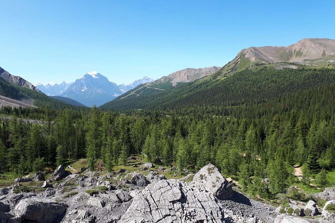 Exclusive Skoki Backcountry Guided Hiking in Lake Louise With Van Shuttle - Included Provisions